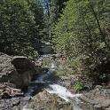 DSC05019