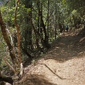 DSC05025