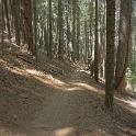 DSC05037