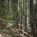 DSC05038