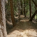 DSC05086