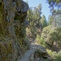 DSC05090