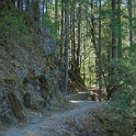 DSC05101
