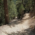DSC05114