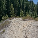 DSC05117