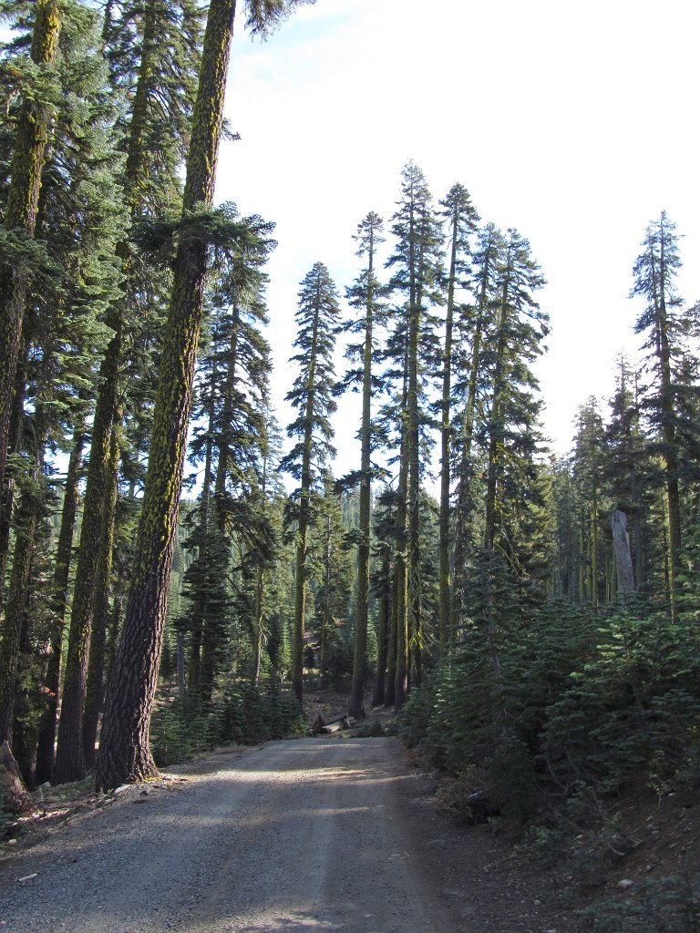 IMG_2089