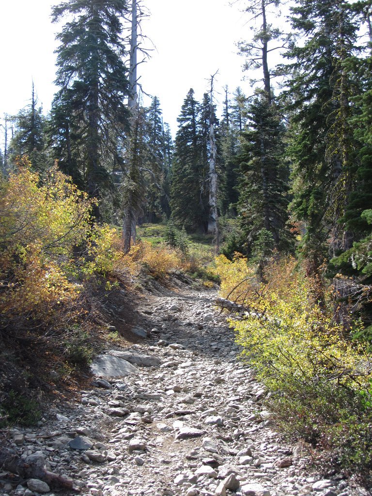 IMG_2137