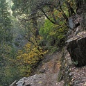 IMG_2194
