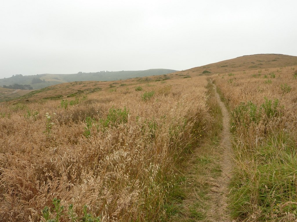 P1020501