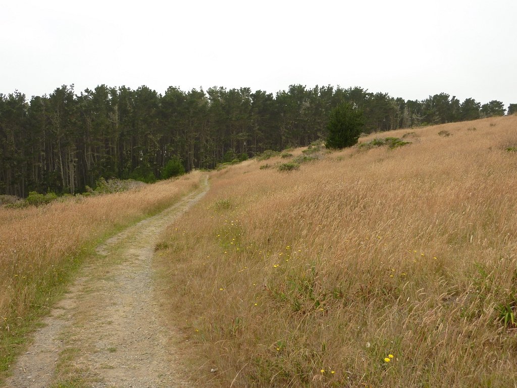 P1020504