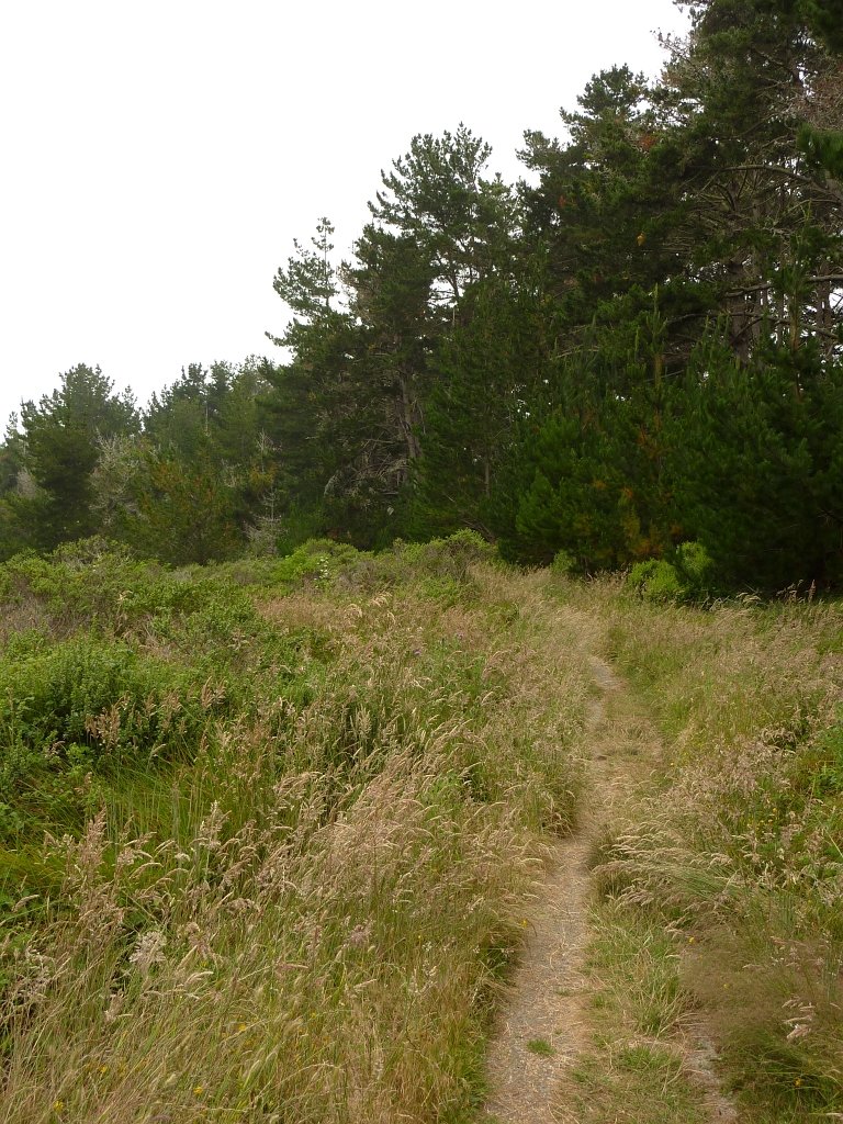 P1020505