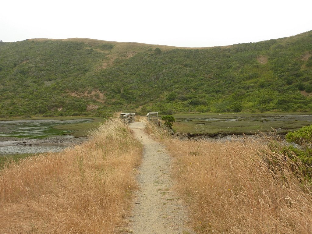 P1020507