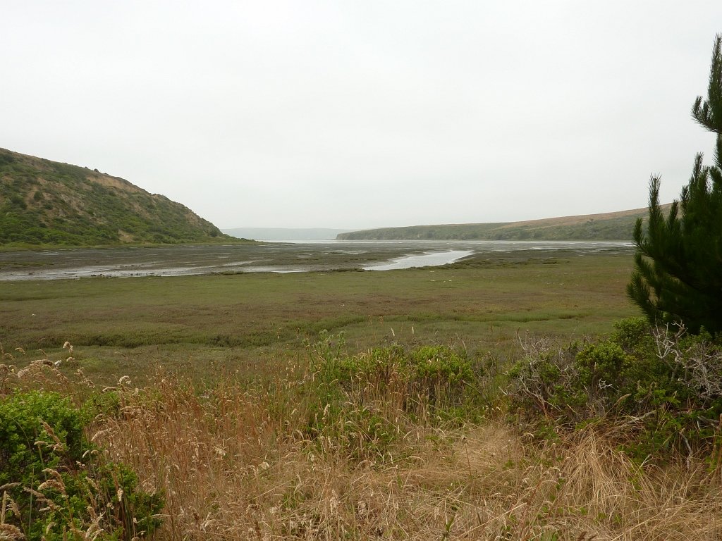 P1020508