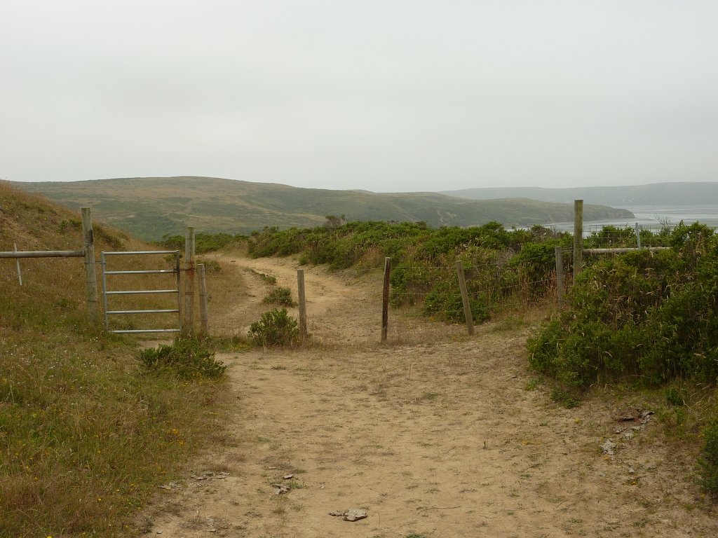 P1020516