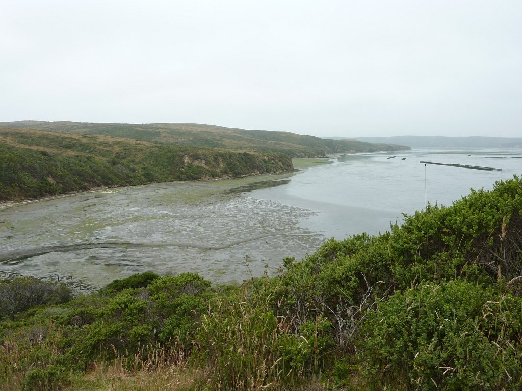 P1020522