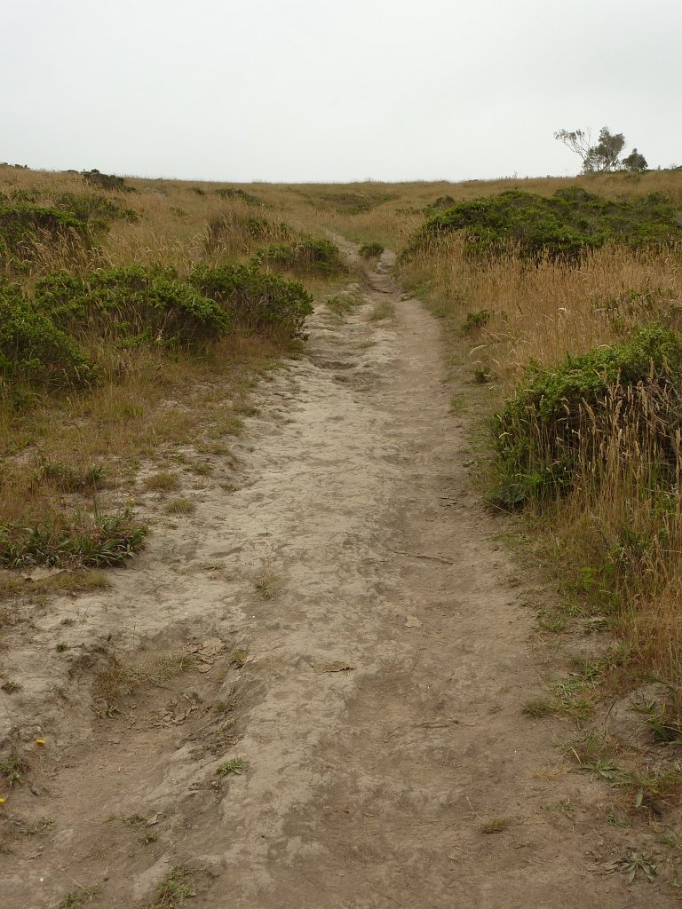 P1020524