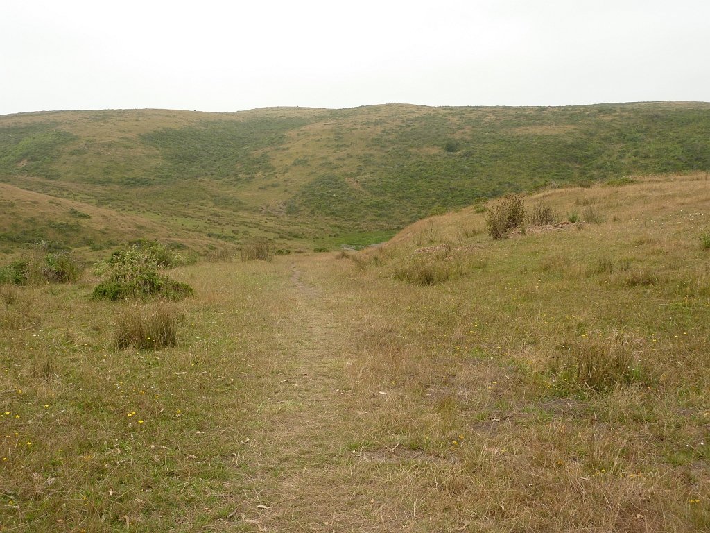 P1020525