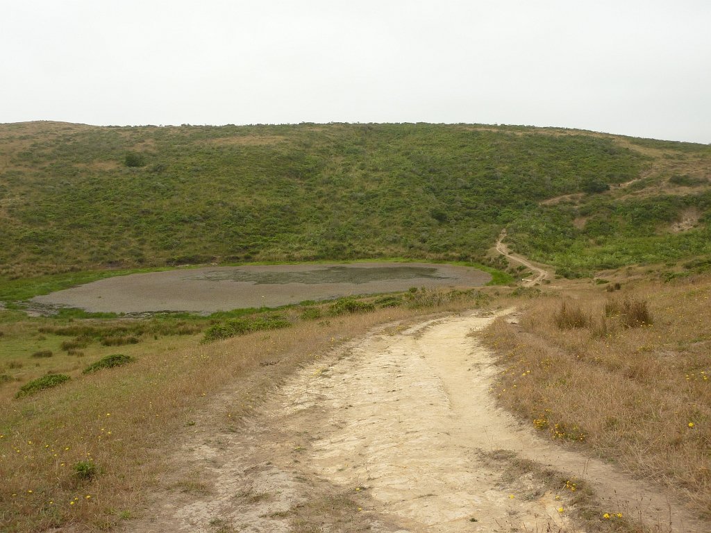 P1020526