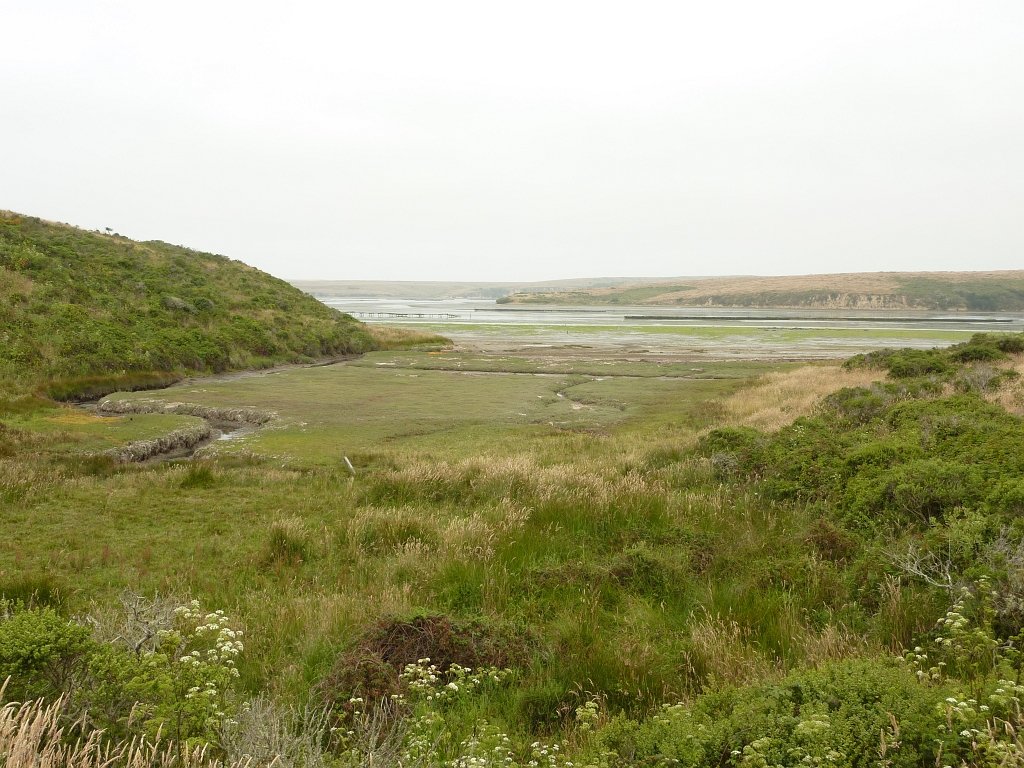 P1020528