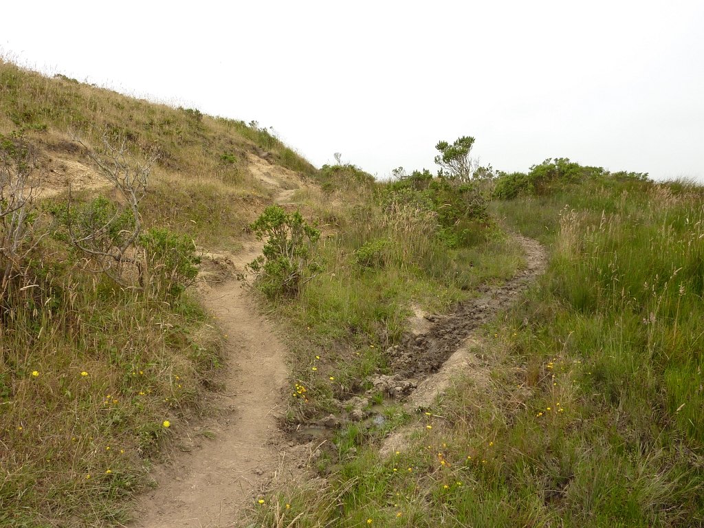 P1020531