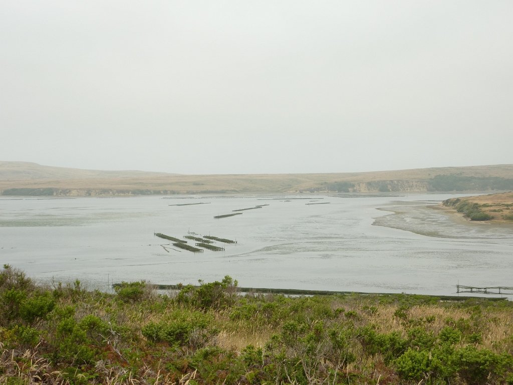P1020534