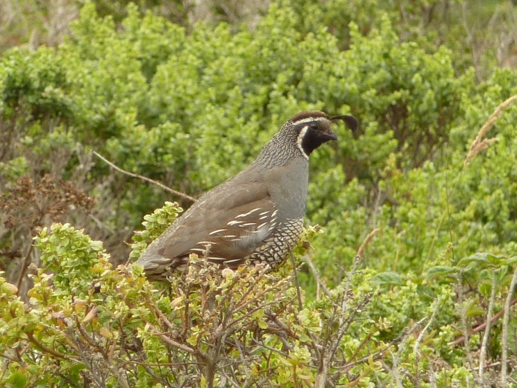 P1020537