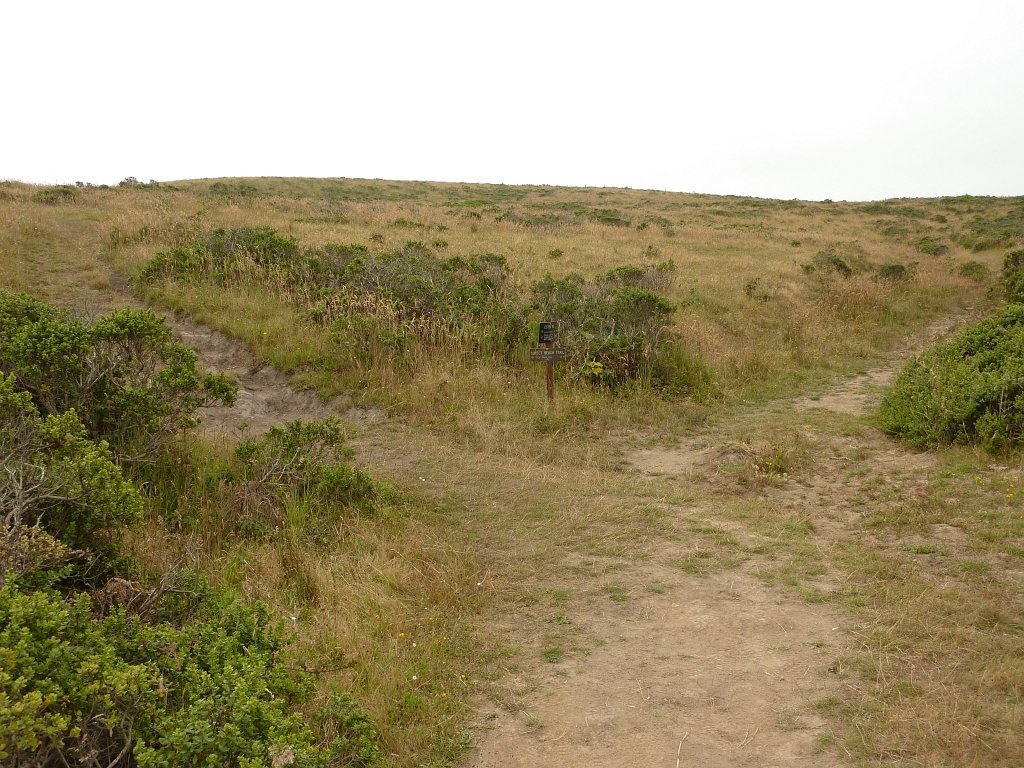 P1020541