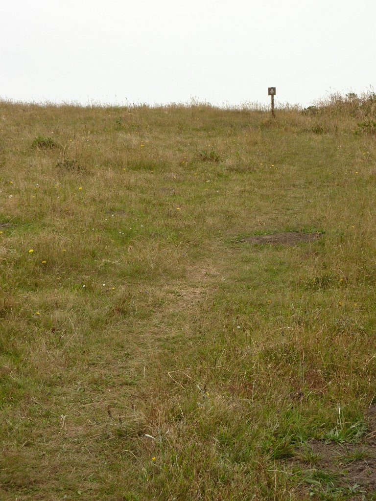 P1020547