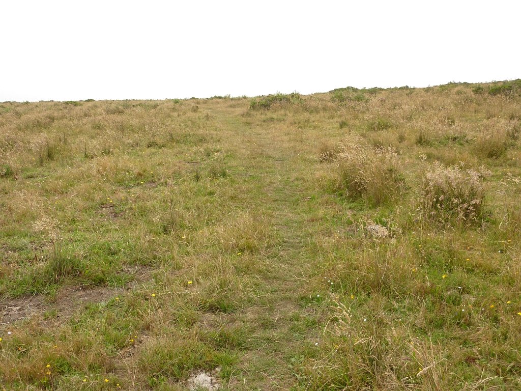 P1020548