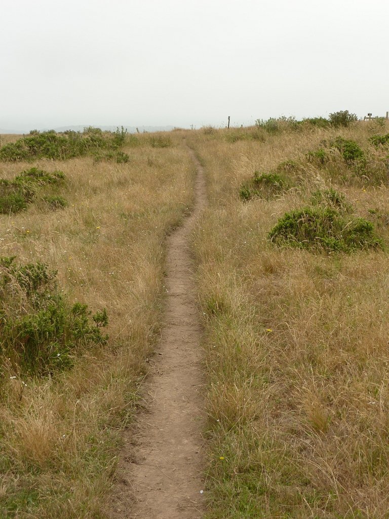 P1020549