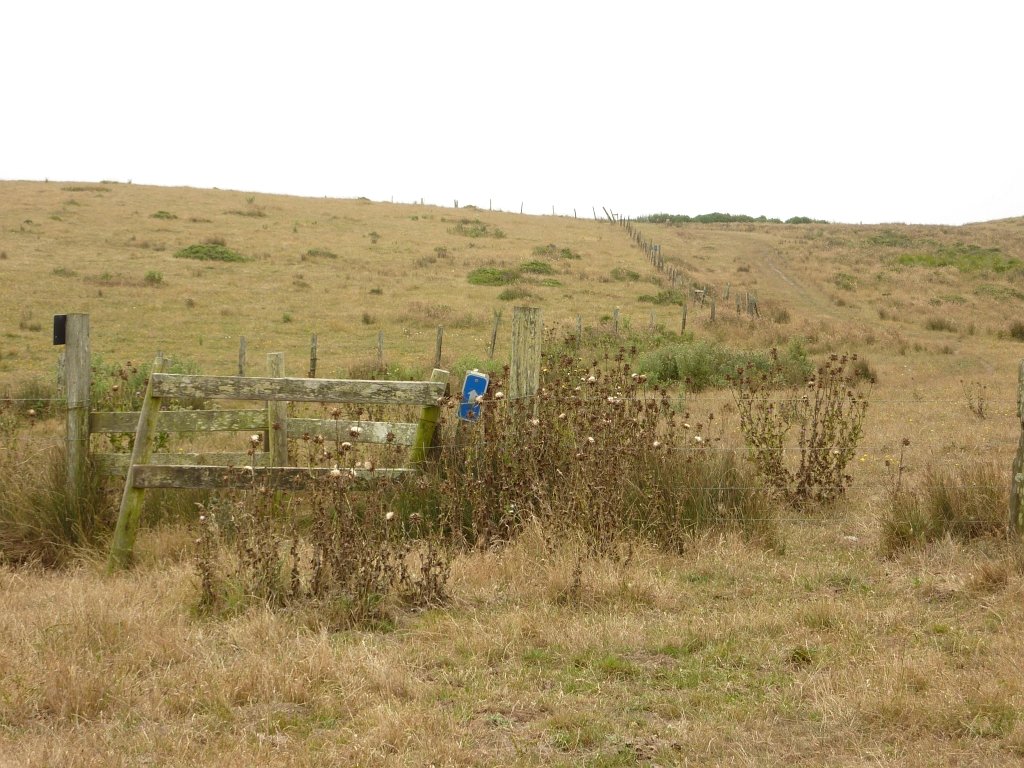 P1020550