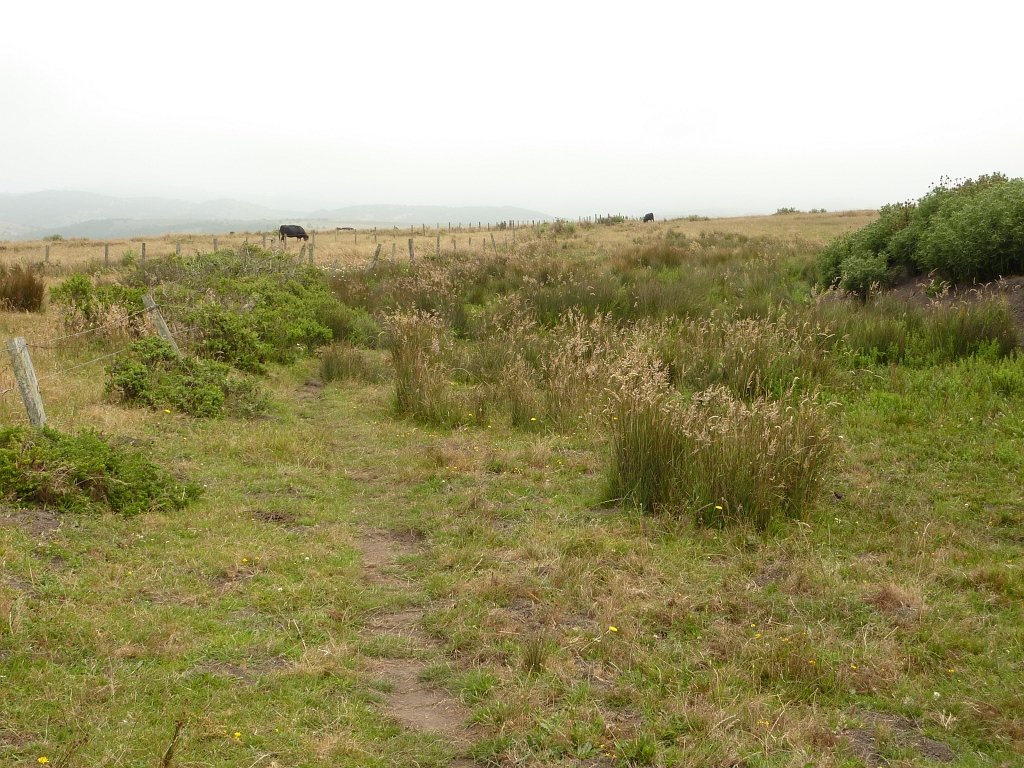 P1020551