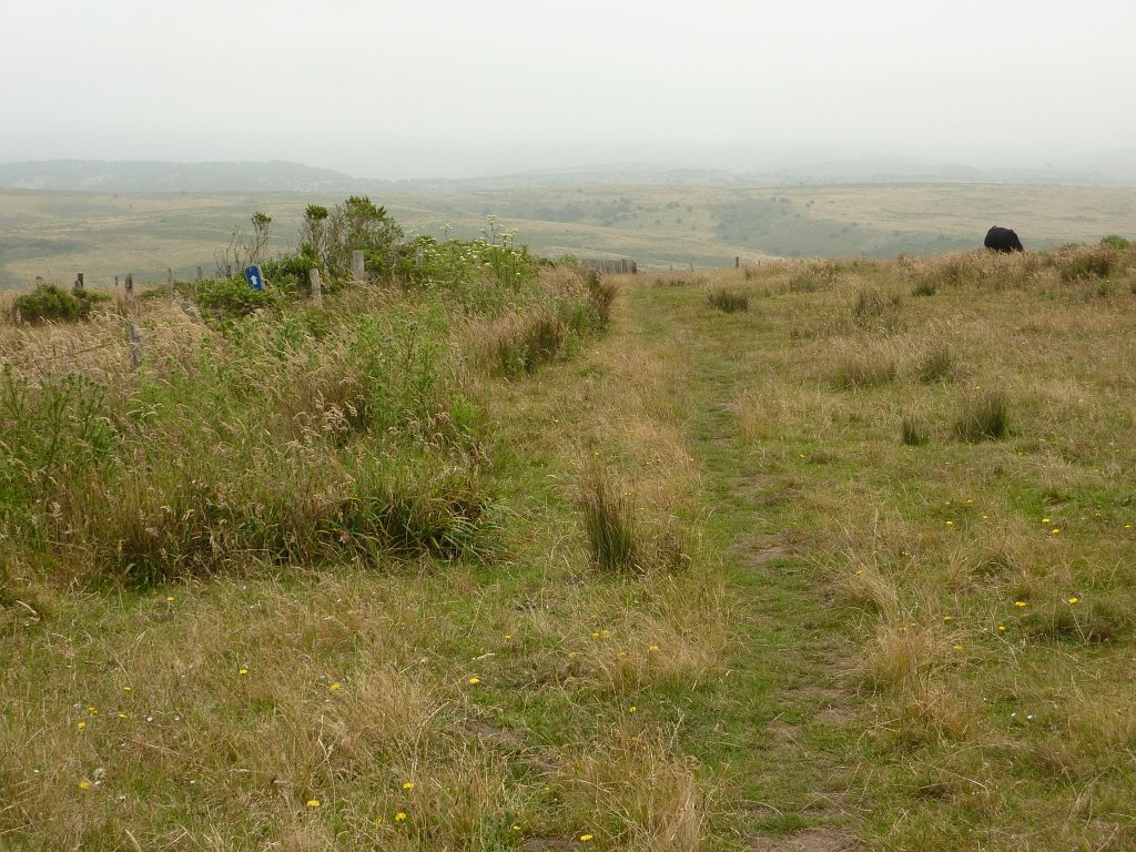 P1020554