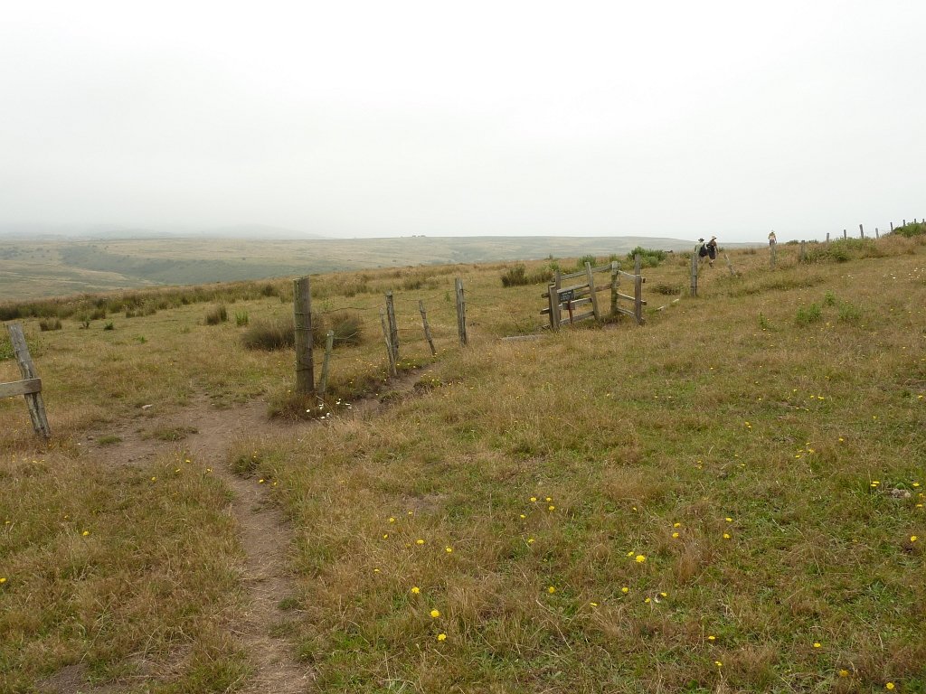 P1020555
