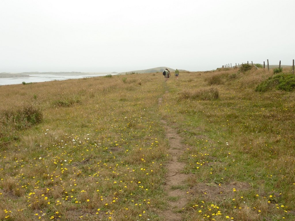 P1020558