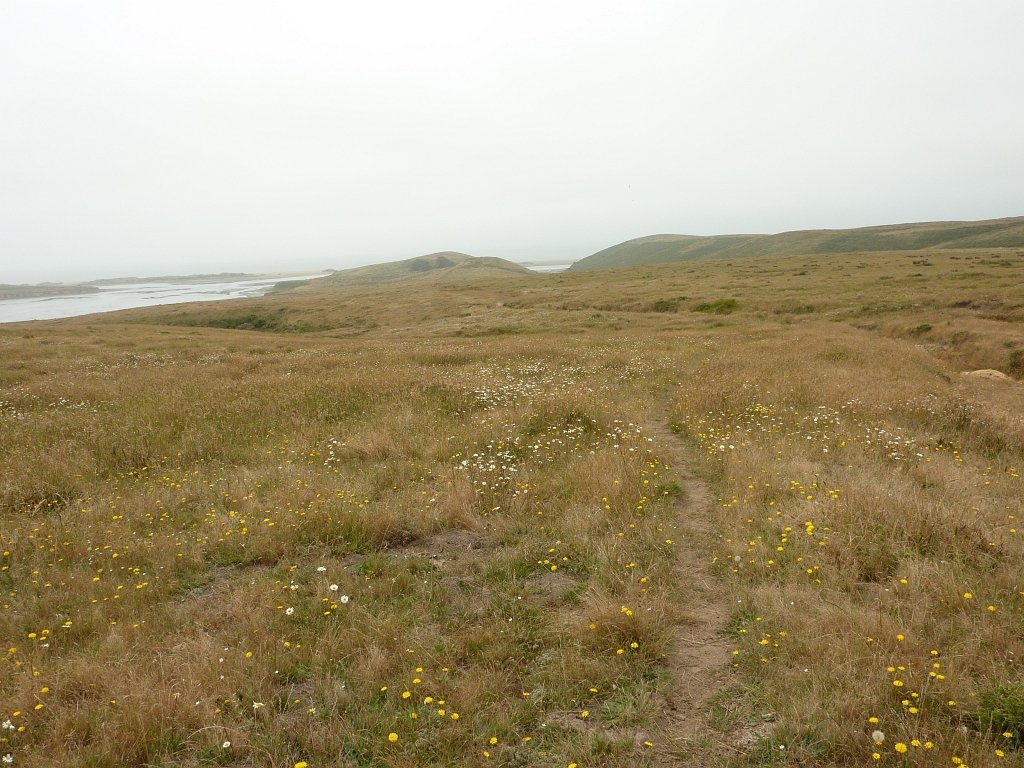 P1020559