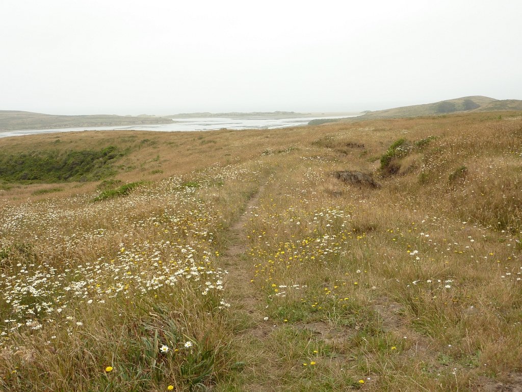 P1020560
