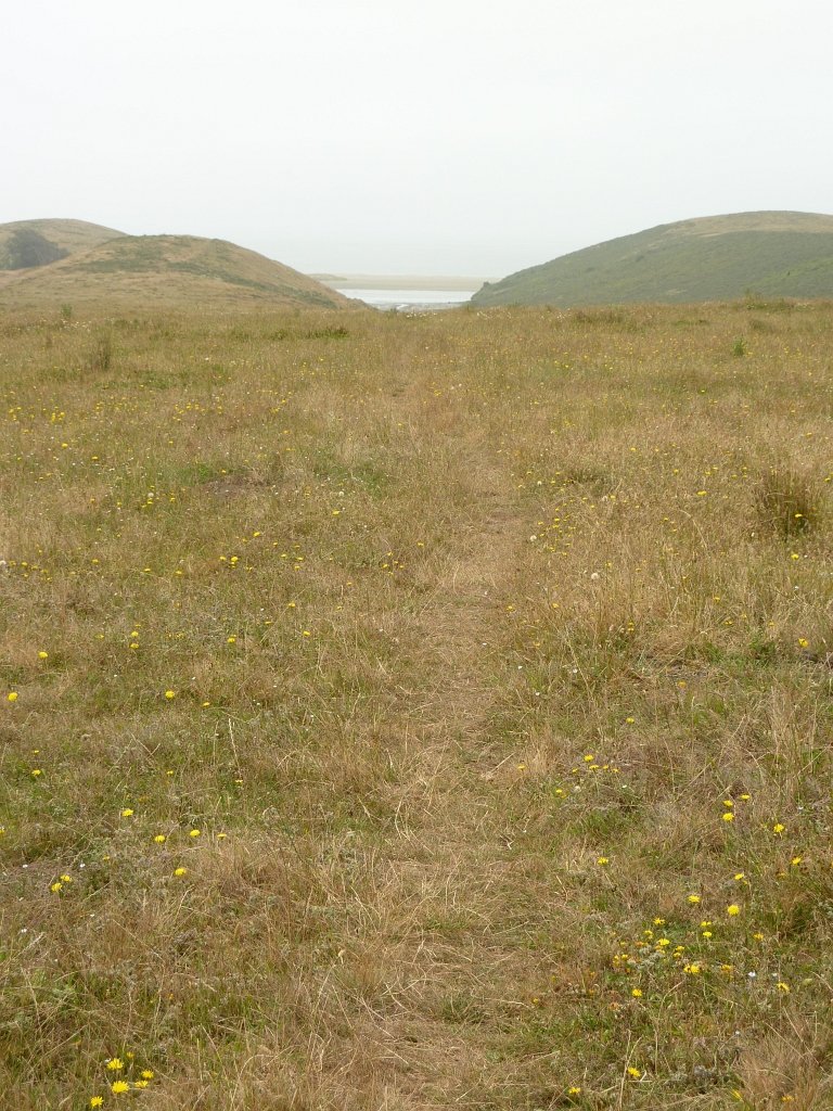 P1020562