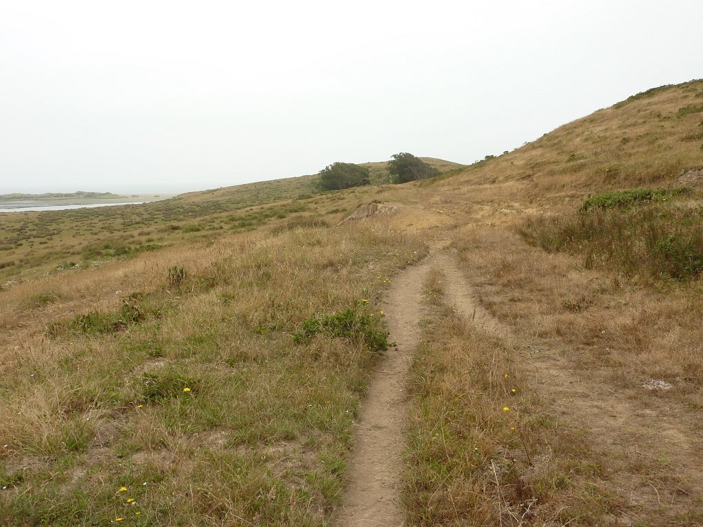 P1020563