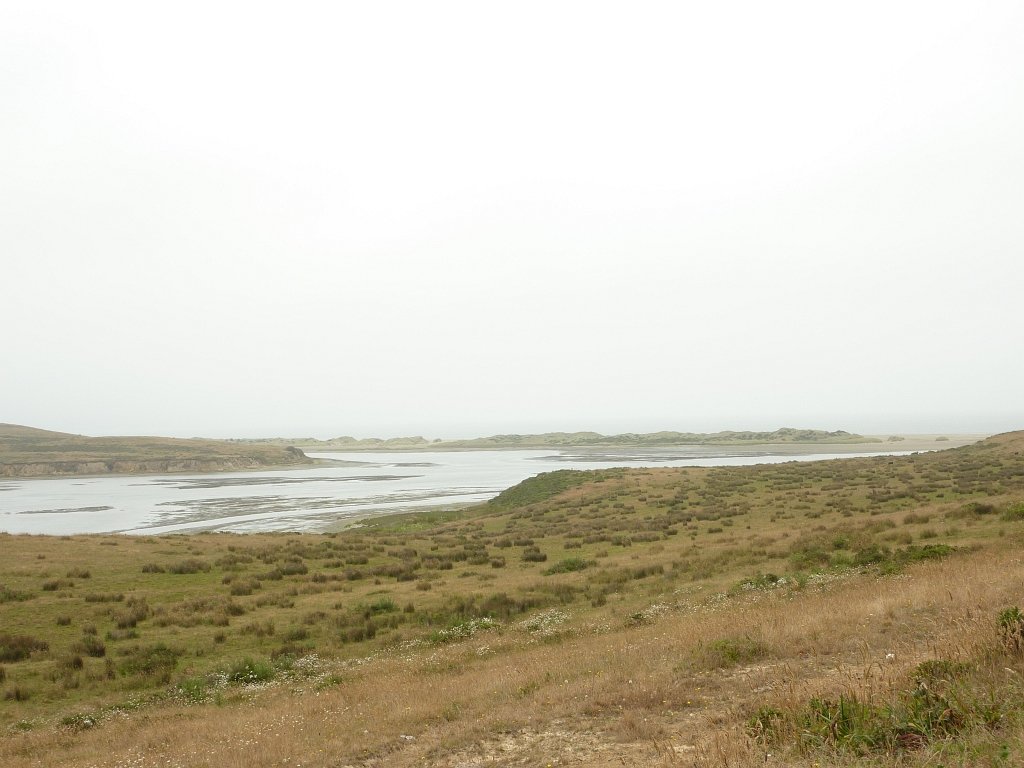 P1020564