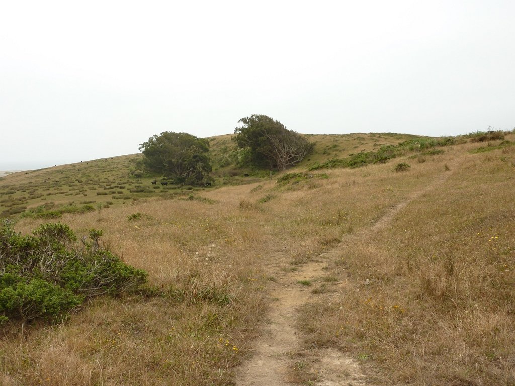 P1020566