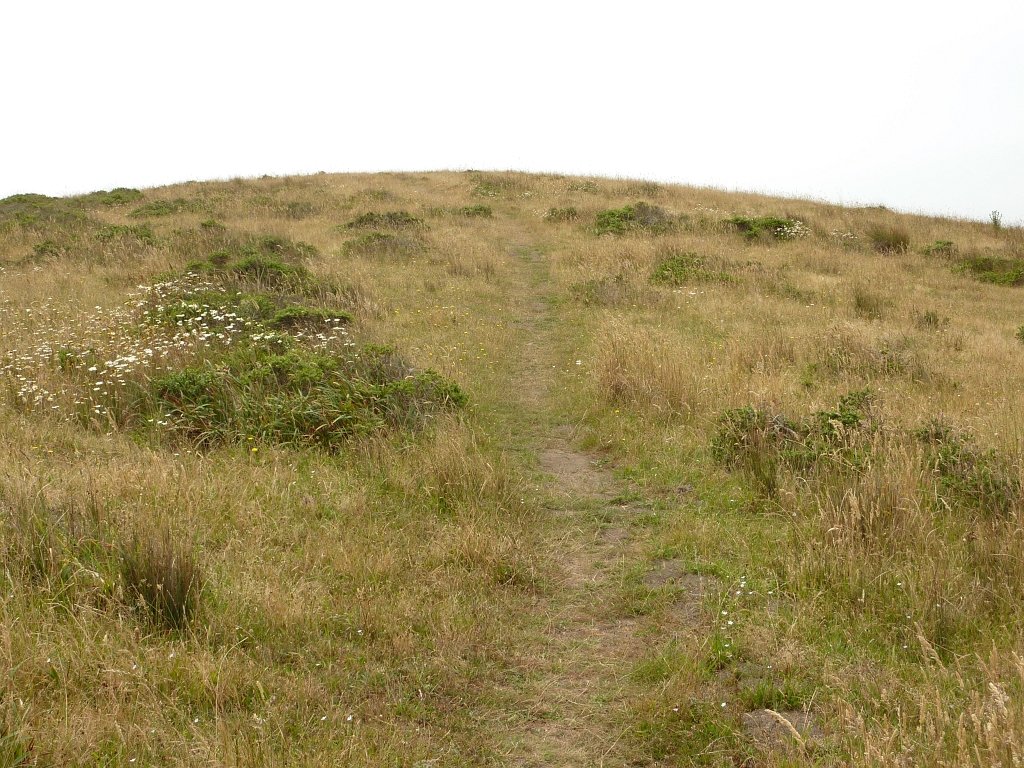 P1020568