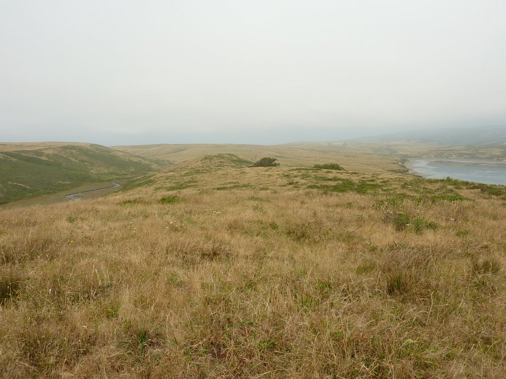 P1020579