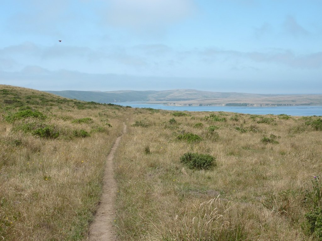 P1020584