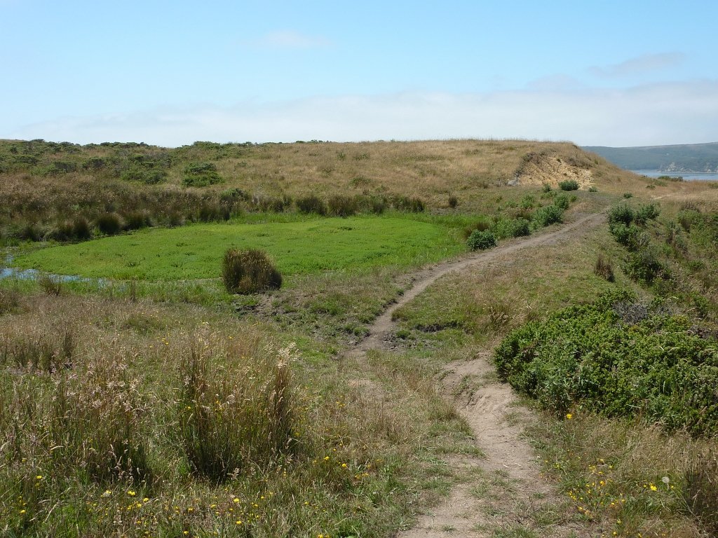 P1020588