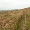 P1020501
