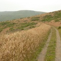 P1020503