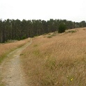P1020504