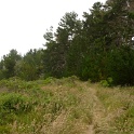 P1020505