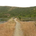 P1020507